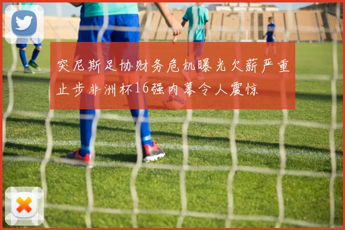 突尼斯足协财务危机曝光欠薪严重止步非洲杯16强内幕令人震惊