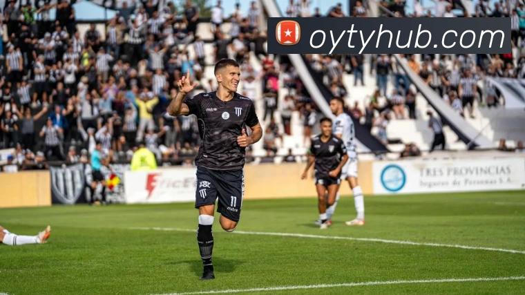 欧亚体育平台生态图